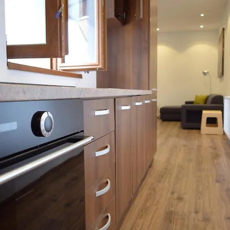 Ultracentral Piata Muzeului Apartmán Kluž