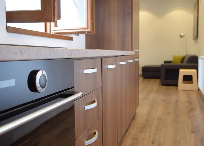 Old Town Apartamento Cluj-Napoca